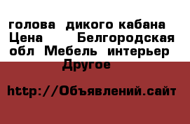 голова  дикого кабана › Цена ­ 1 - Белгородская обл. Мебель, интерьер » Другое   